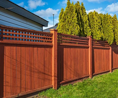 Grenzbepflanzung - immer wieder Streit am Gartenzaun