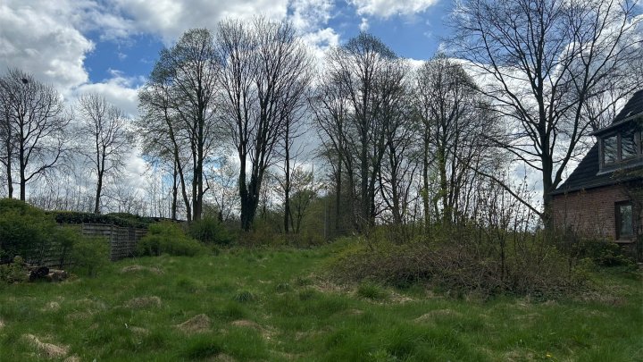 Vor den Toren Flensburgs: Großes Baugrundstück in Wees zu verkaufen! OTTO STÖBEN GmbH