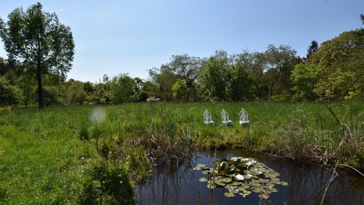 EFH+Garten in kleinem Naturparadies, Baugrundstück, Strenglin ca. 20 Min zur Ostsee OTTO STÖBEN GmbH