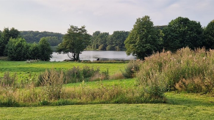 Moderne und repräsentative Bürofläche am See zu vermieten! OTTO STÖBEN!