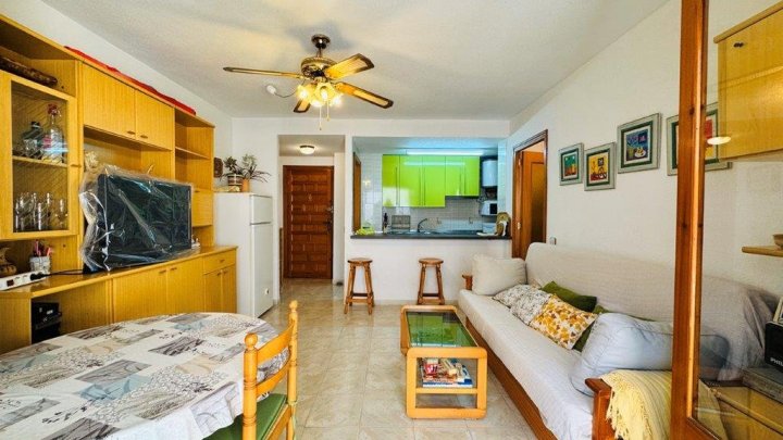 Appartement mit 1 Schlafzimmer und 1 Badezimmer im Zentrum von La Mata, nur 50 m vom Strand