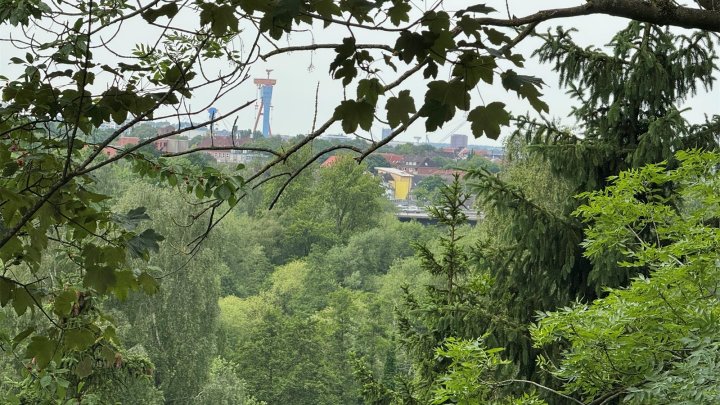 Einmalige Hanglage im Schwentinetal: Wohnen mit Panoramablick ins Grüne über mehrere Ebenen!