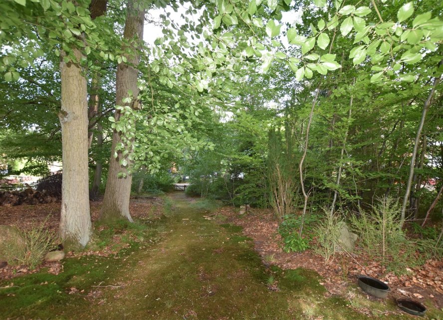 Waldweg