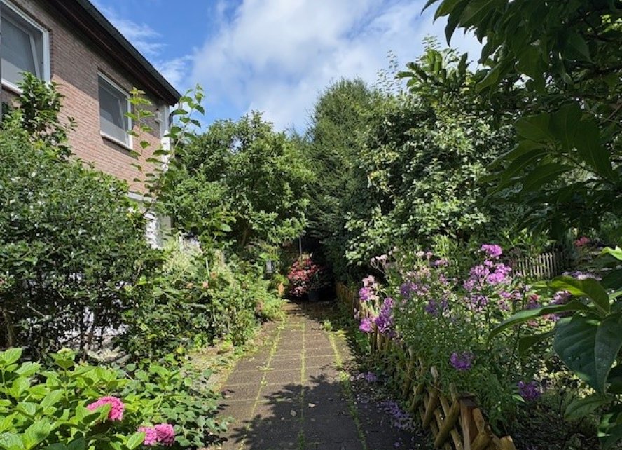 Zuwegung 2. Ansicht 22300