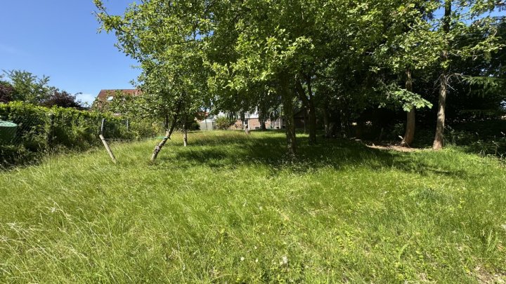 Großzügige Immobilie mit 294,3 m² Wohnfläche & traumhaftem Grundstück – ideal für 4 Parteien