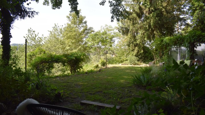 Einmalige Hanglage im Schwentinetal: Wohnen mit Panoramablick ins Grüne über mehrere Ebenen!