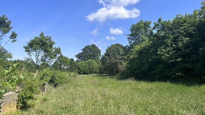 Vielseitiger Resthof mit 2 Wohneinheiten zwischen HH-Norderstedt - Neumünster OTTO STÖBEN GmbH