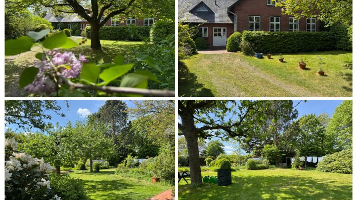 Ehemalige Dorfschule mit historischem Flair, modernem Wohnkomfort und parkähnliche