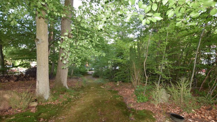 Naturnahes Wohnen, EFH, Bungalow + Garten + Waldgrundstück in Mölln Waldstadt - OTTO STÖBEN GmbH