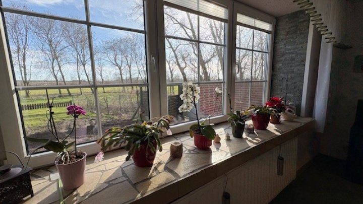 Landsitz Alleinlage in der Nähe von Wilster teilweise unter Reet Otto Stöben GmbH