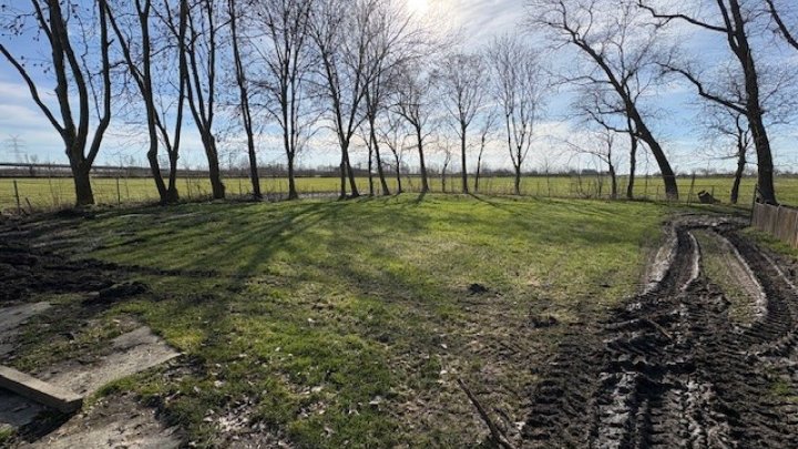 Landsitz Alleinlage in der Nähe von Wilster teilweise unter Reet Otto Stöben GmbH