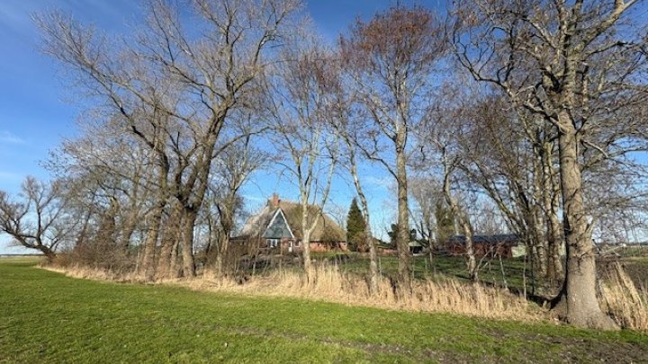 Landsitz Alleinlage in der Nähe von Wilster teilweise unter Reet Otto Stöben GmbH