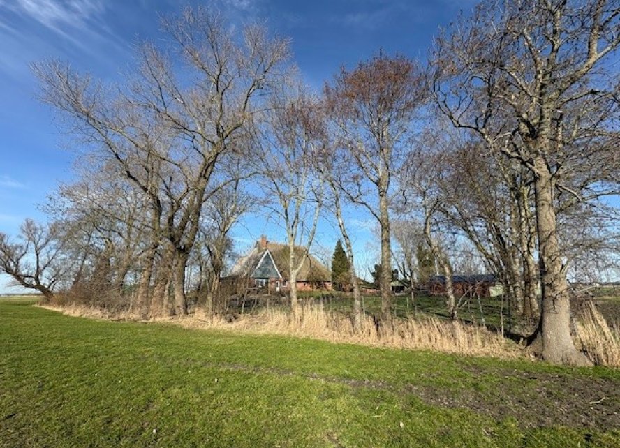 Feldansicht 1 Rehweg